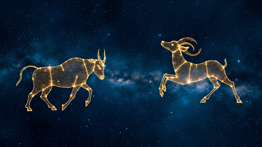 Taurus & Aries