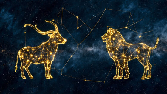 Taurus & Leo