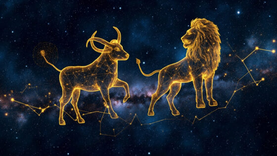 Taurus Man & Leo Man