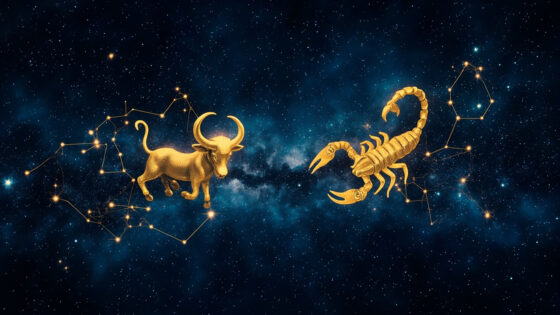 Taurus & Scorpio