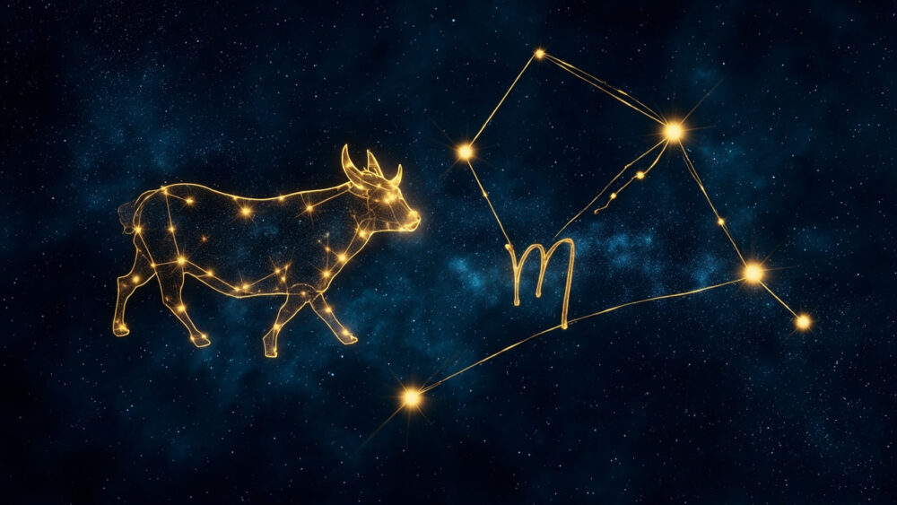 Taurus & Taurus