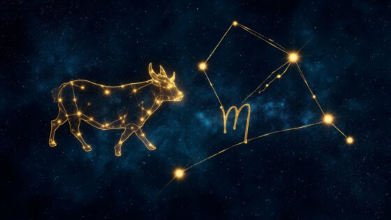 Taurus & Taurus