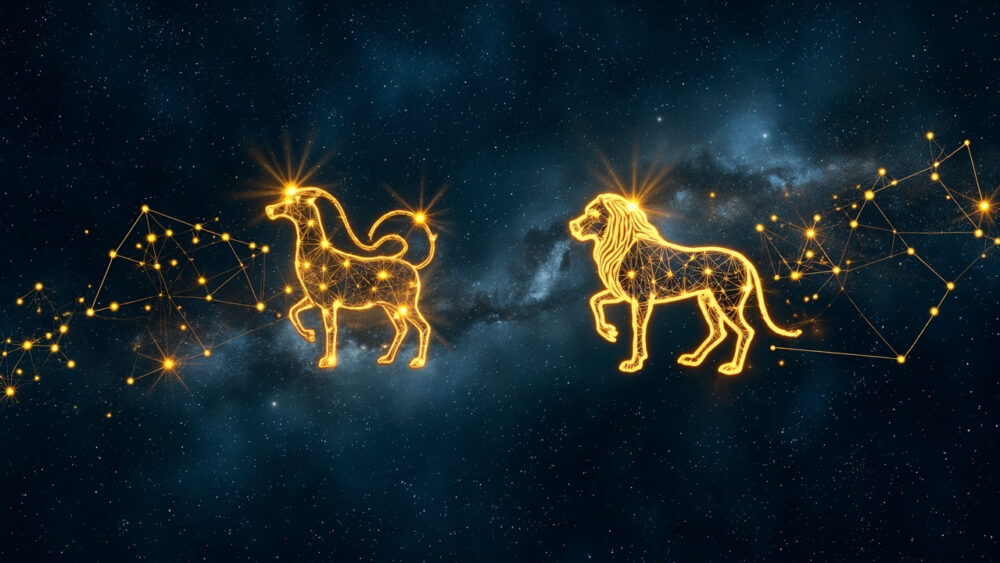 Virgo & Leo