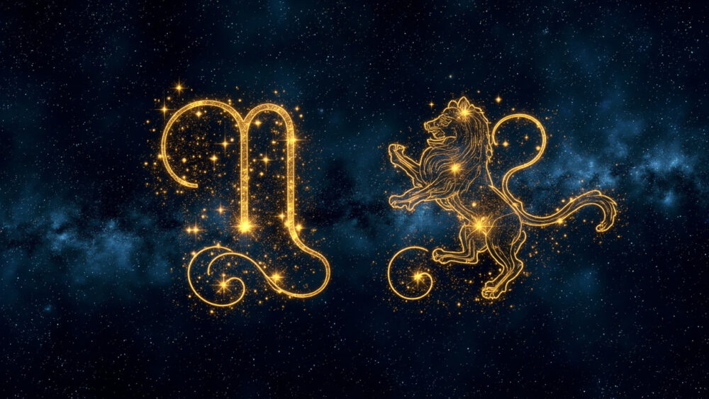 Virgo Man & Leo Man