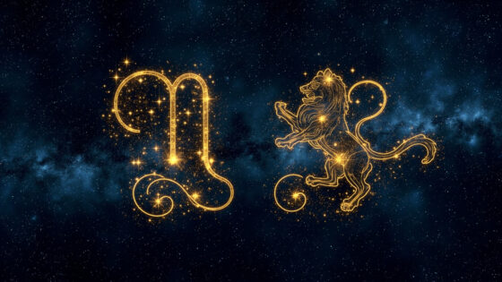 Virgo Man & Leo Man