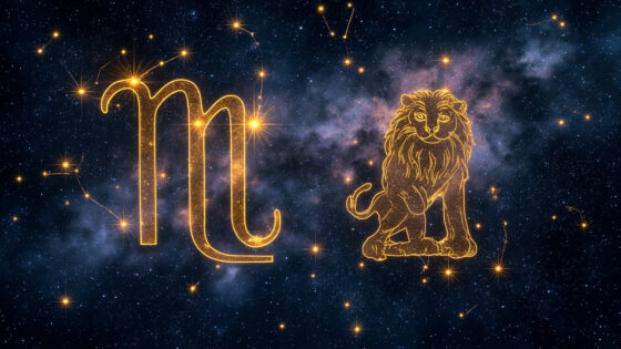 Virgo Woman & Leo Man