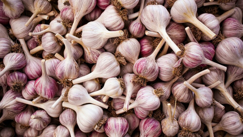 Grow Garlic