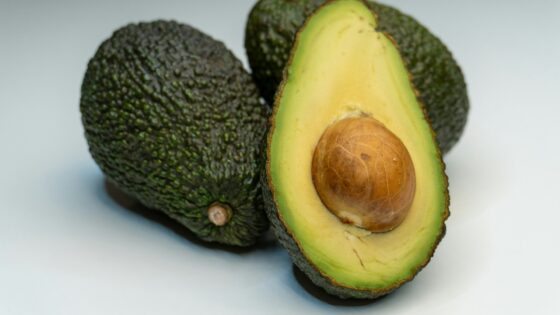 How to Grow an Avocado Seed
