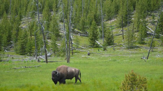 28 National Park-Inspired Baby Names (Adventure & Nature)