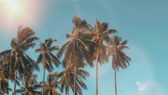 50 Sunny Summer Names for Summer Babies