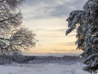 65 Magical Winter Names for Babies (Seasonal & Meaning)