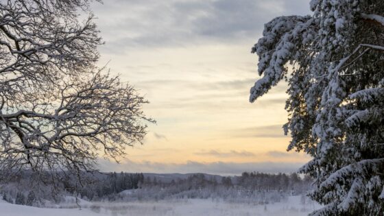65 Magical Winter Names for Babies (Seasonal & Meaning)