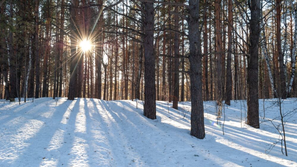 Winter Solstice Names: Seasonal Names Inspired by Winter