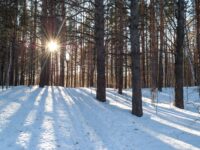 Winter Solstice Names: Seasonal Names Inspired by Winter