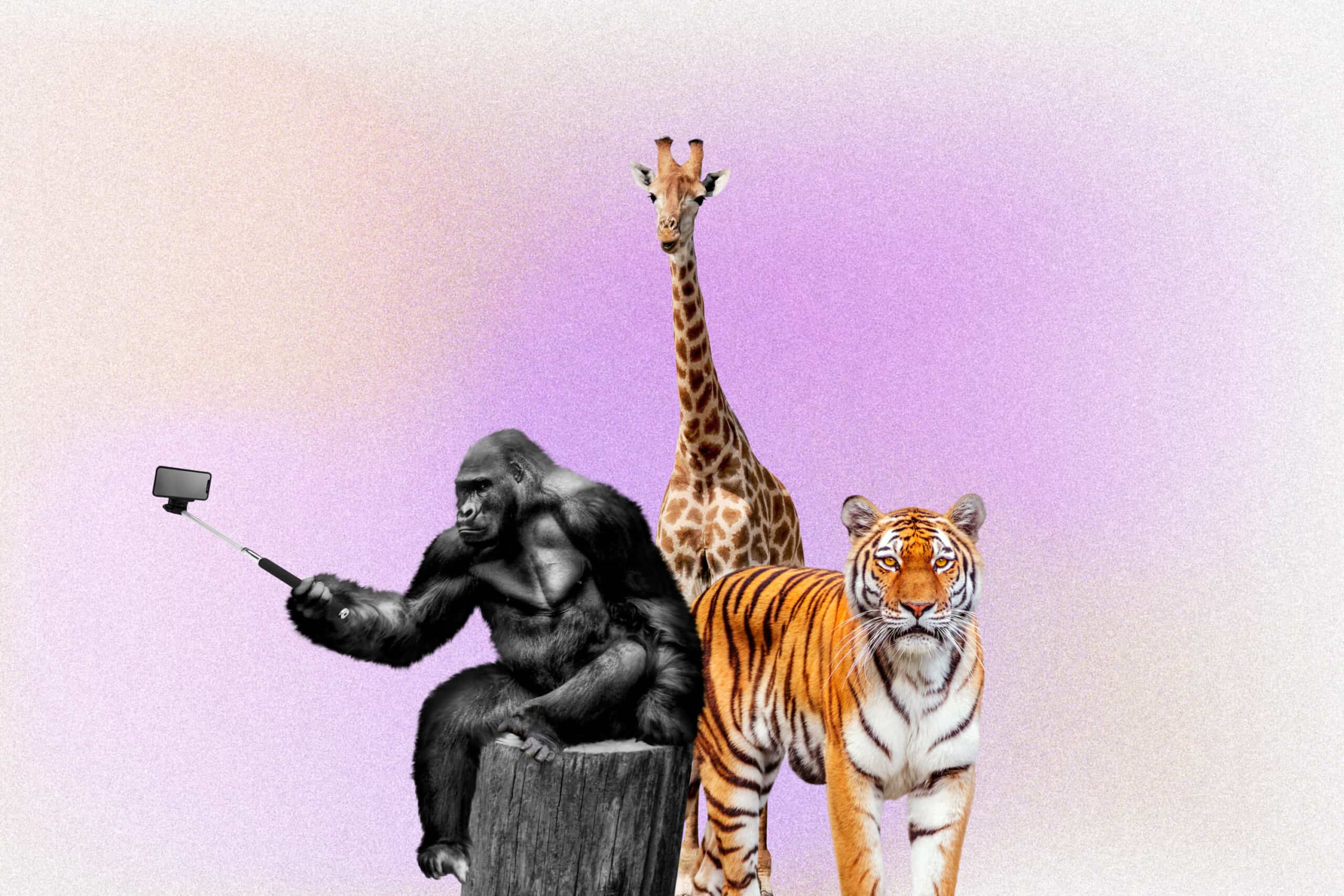 Animal Trivia