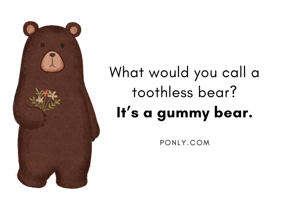 bear Jokes