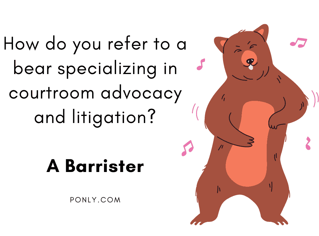 Bear Jokes