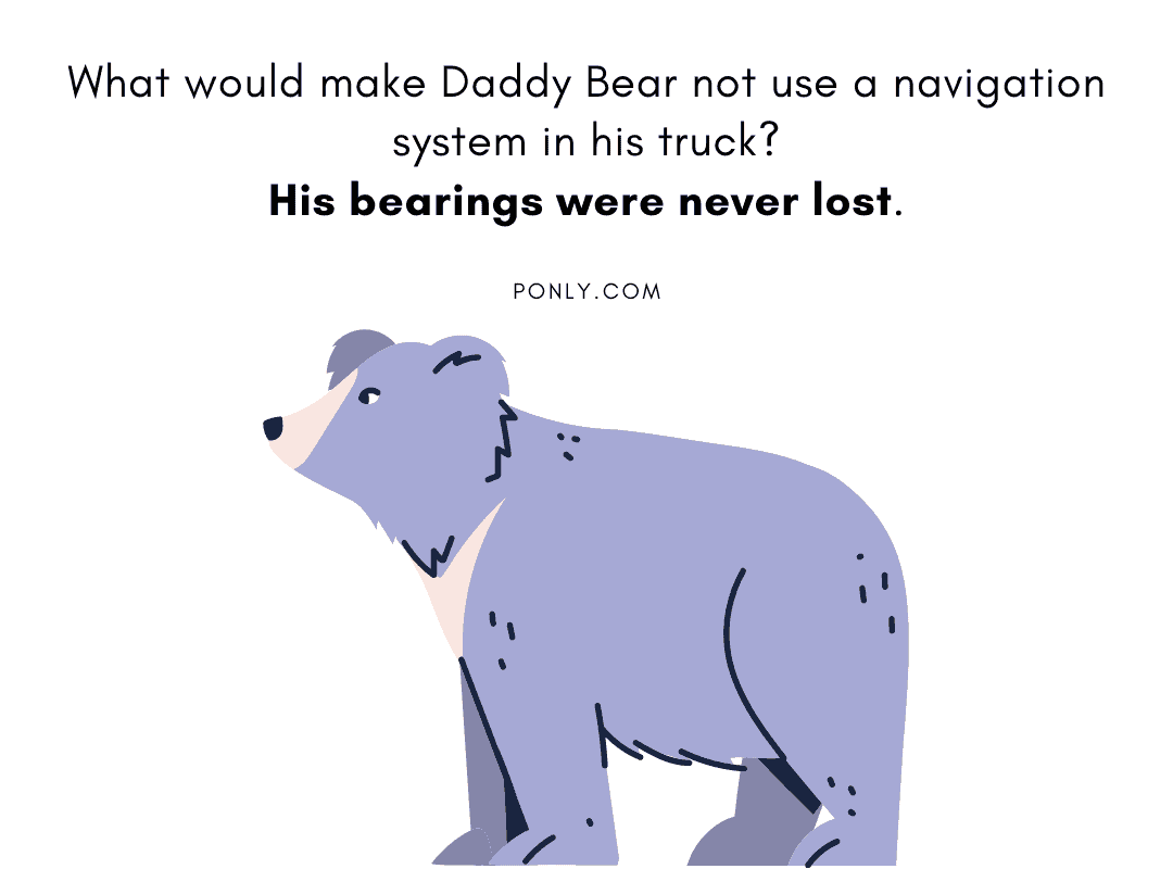 Bear puns & Jokes