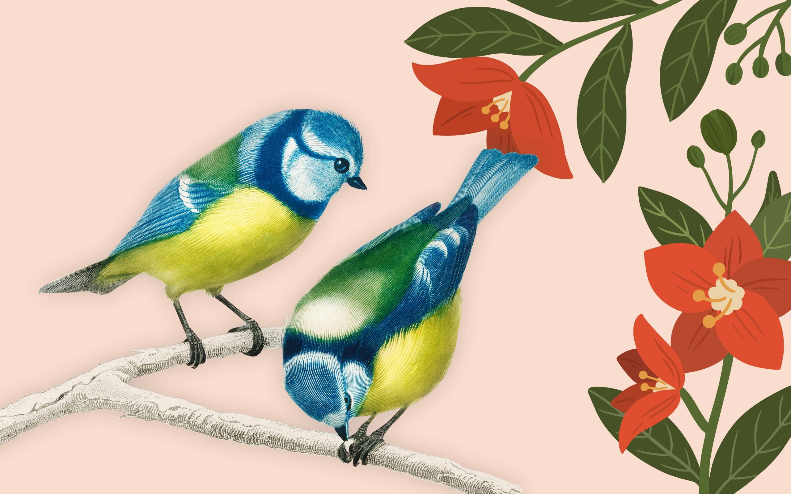 Bird Puns