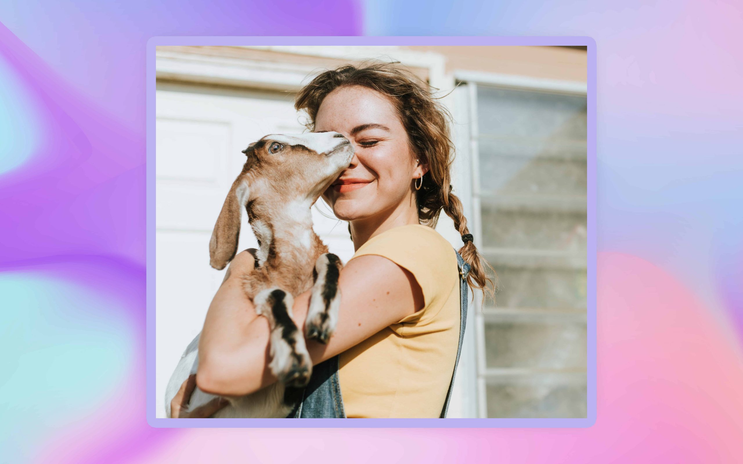 Goat Jokes & Puns