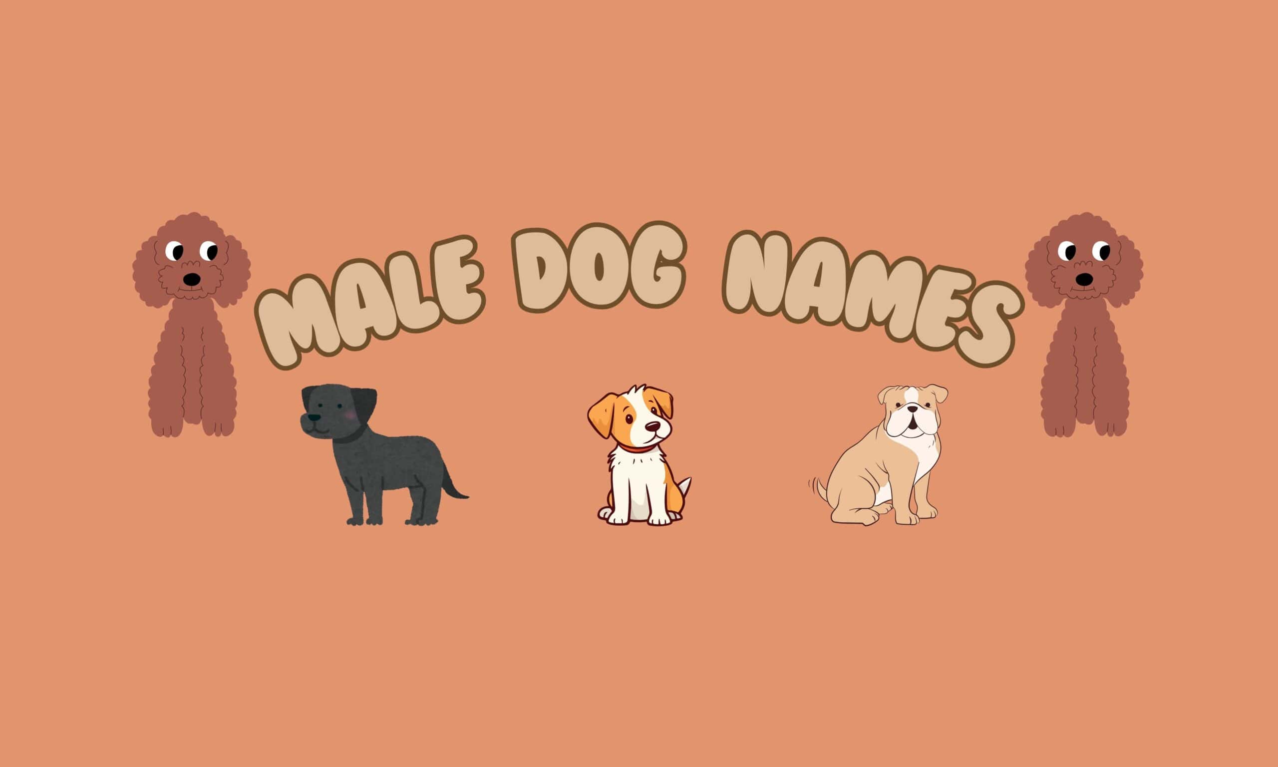 Male Dog Names