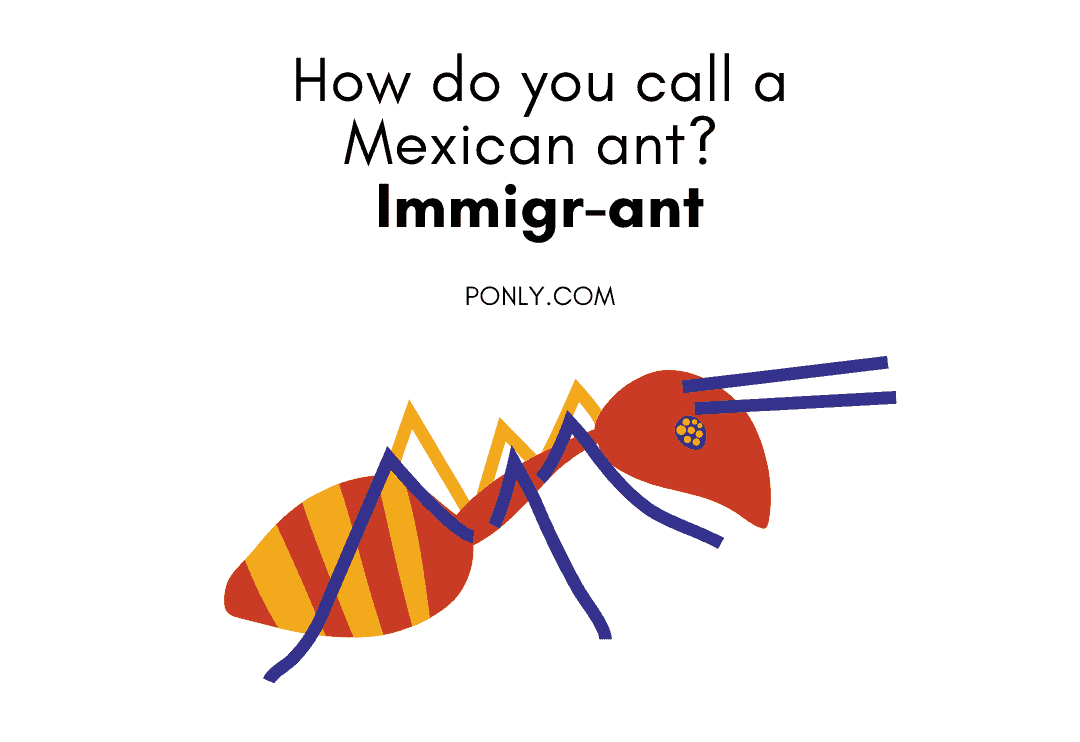 Mexican Jokes