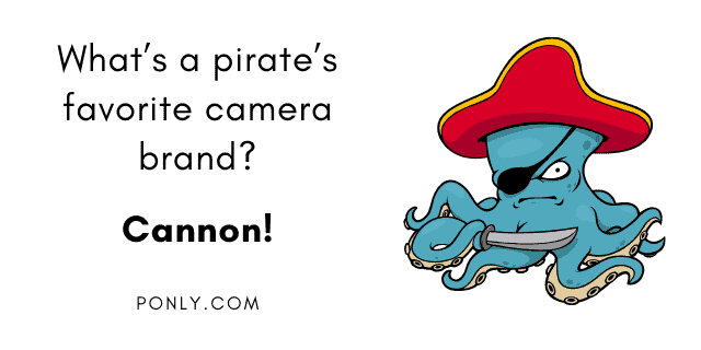 Pirate Jokes Puns