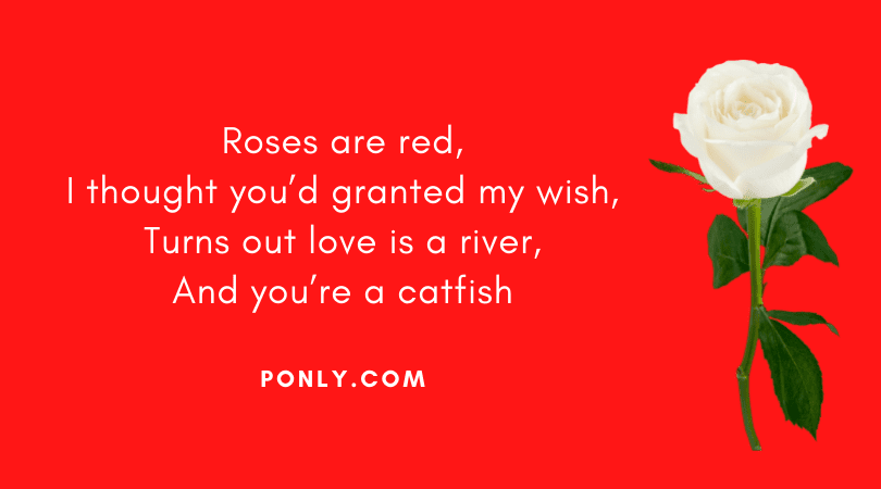 Roses Are Red Violets are Blue Jokes