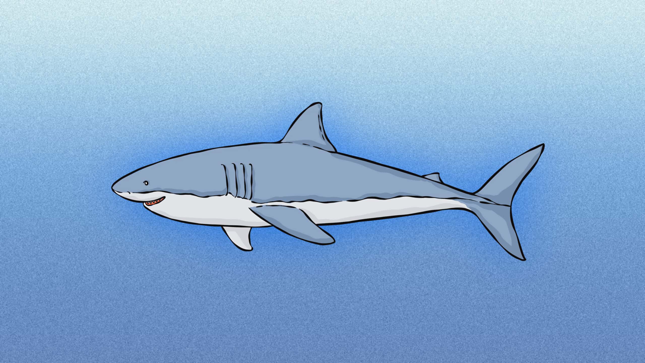 Shark Puns