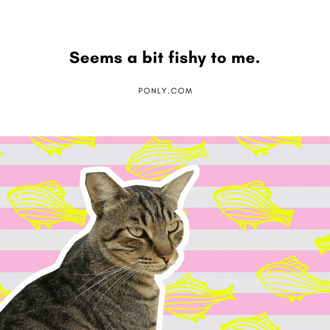 fish puns
